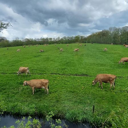 B&B In De Roos Noordbergum Eksteriør billede